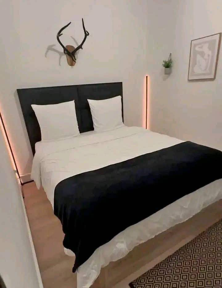 Appartement T2 bis meublé avec mezzanine – Centre-ville - Image 3